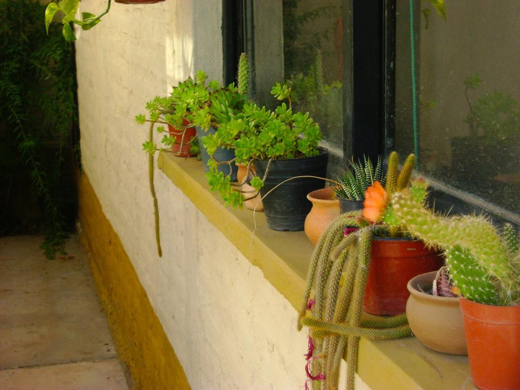 Eugenio Bustos Pasos Andinos B&B מראה חיצוני תמונה